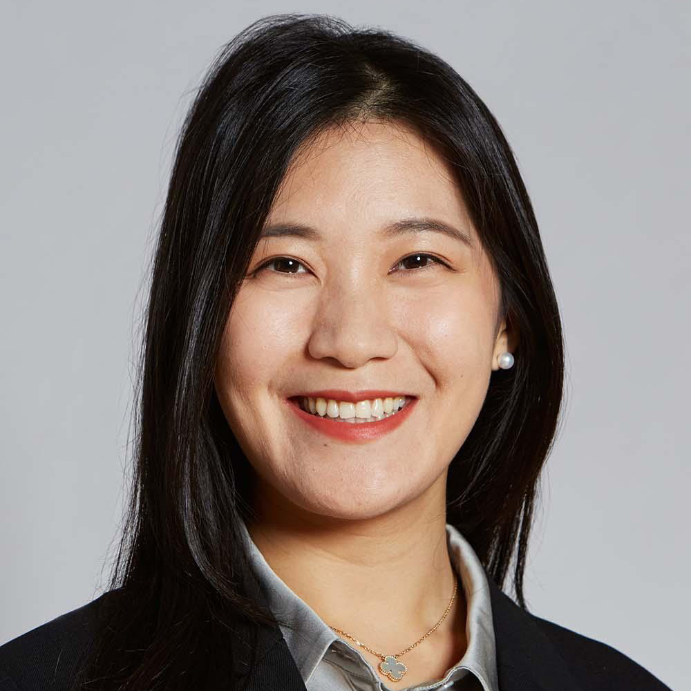 Prof. Dr. Hedan Bai